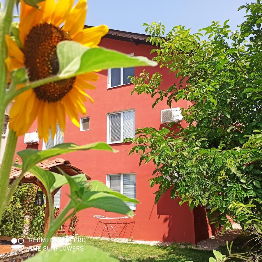 Guest House Sunflowers Pomorie Kültér fotó