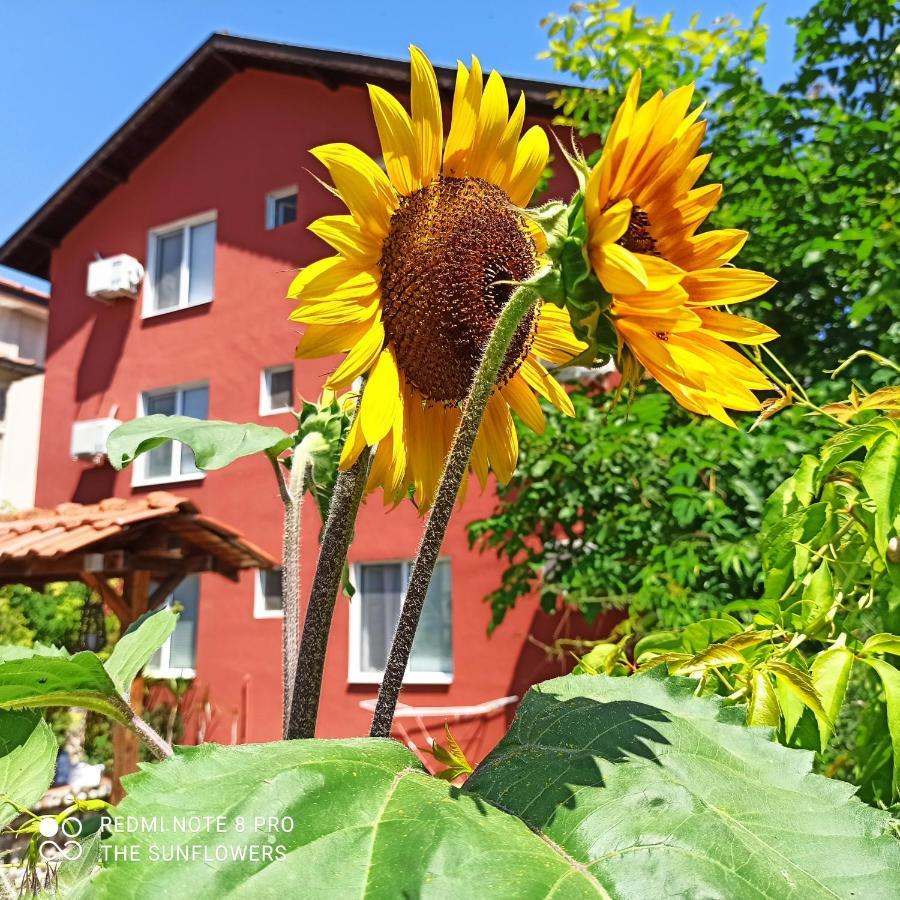 Guest House Sunflowers Pomorie Kültér fotó